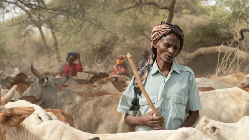 Kenya Hunger Crisis: Voices From The Drought | IFRC